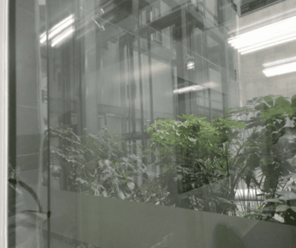 圖片關(guān)鍵詞