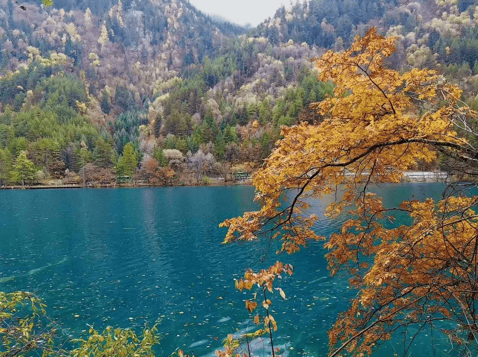 圖片關(guān)鍵詞