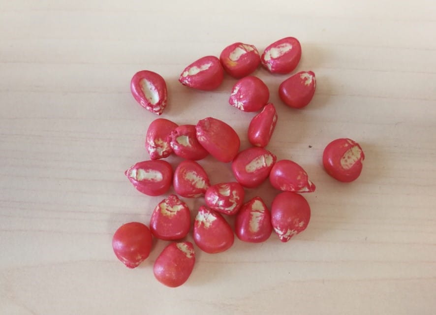 圖片關(guān)鍵詞