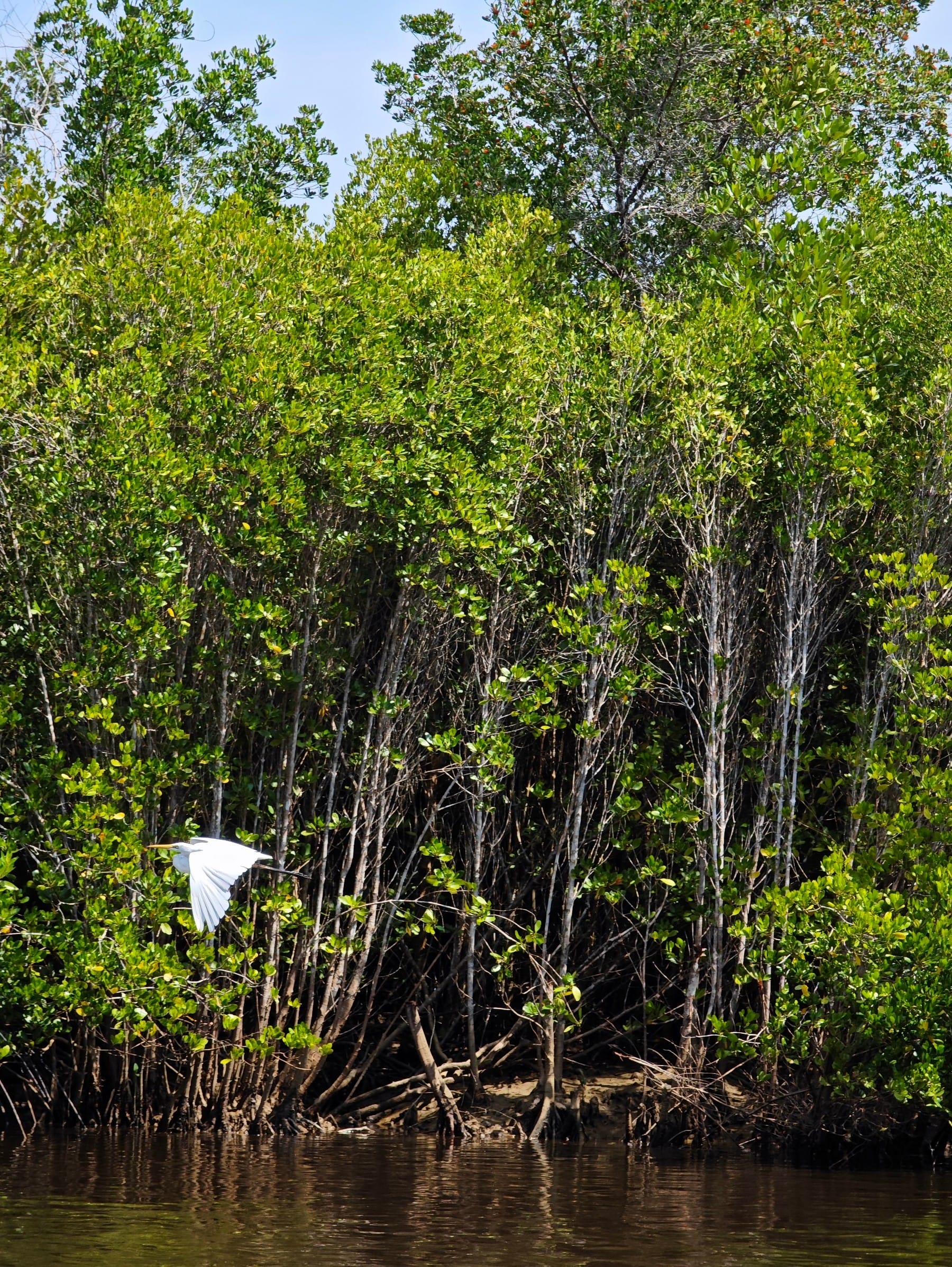 圖片關(guān)鍵詞