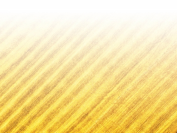 智能農(nóng)機(jī)、“訂單”服務(wù)、“云端”種菜——來自江西的春耕“新事”